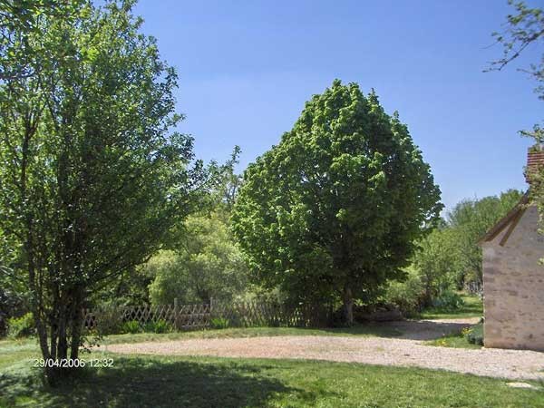 Le jardin devant la maison - The garden in front of the house