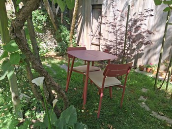 Jardin ombragé