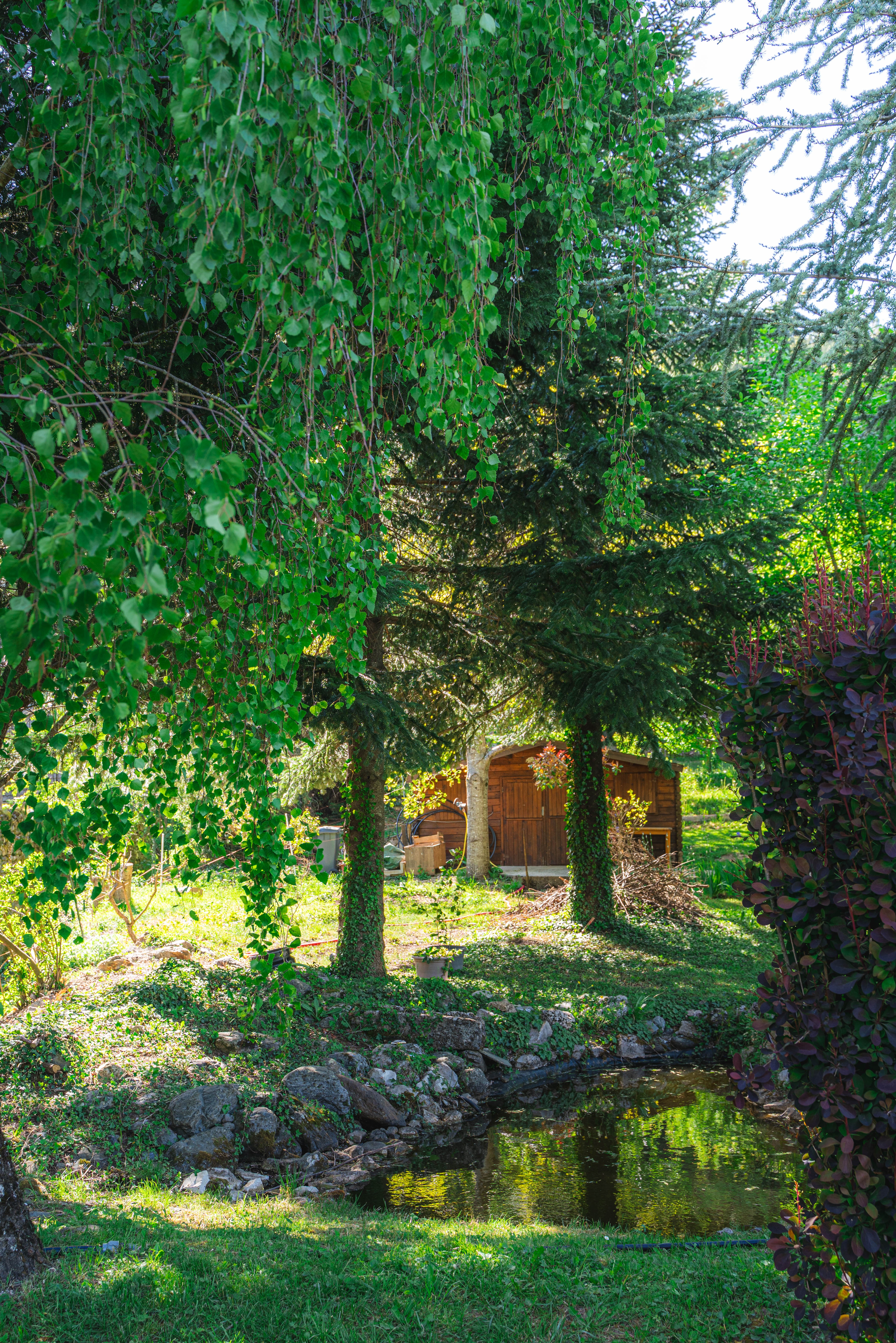 Photo n° 7 of the location