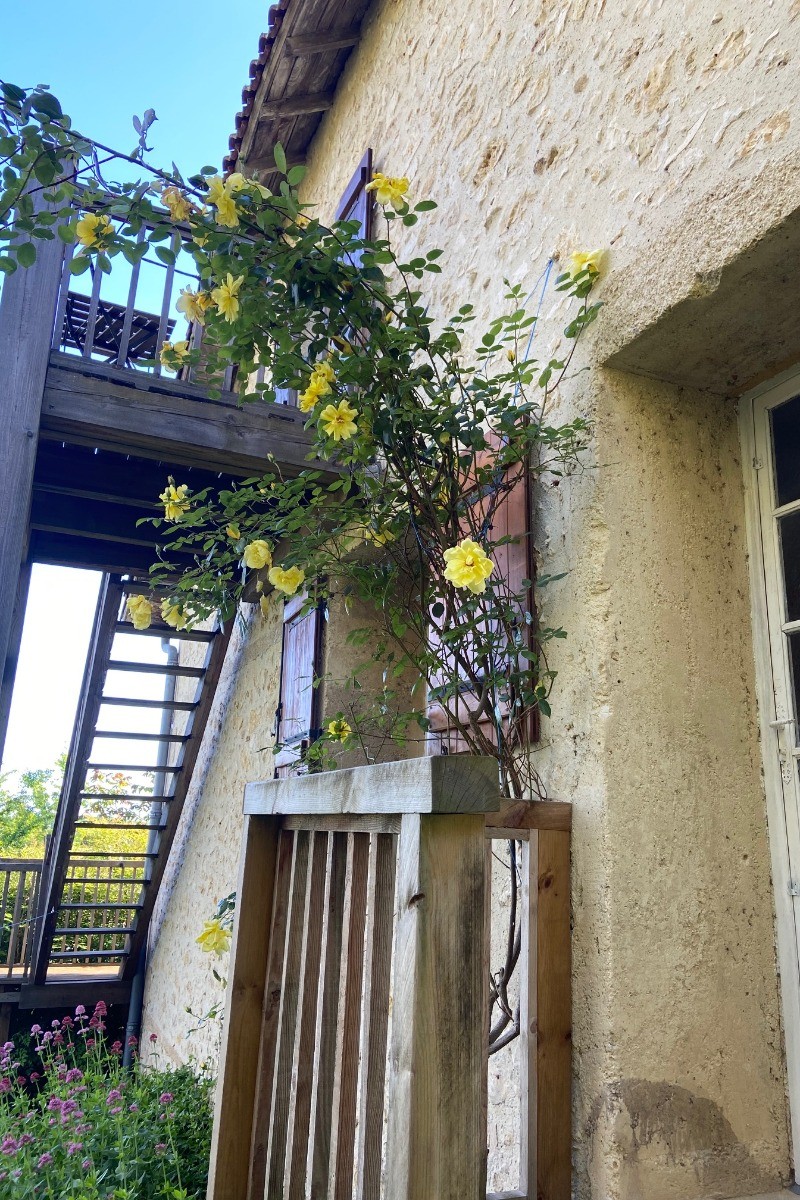 Escalier de secours et d'accès à la chambre du pignon