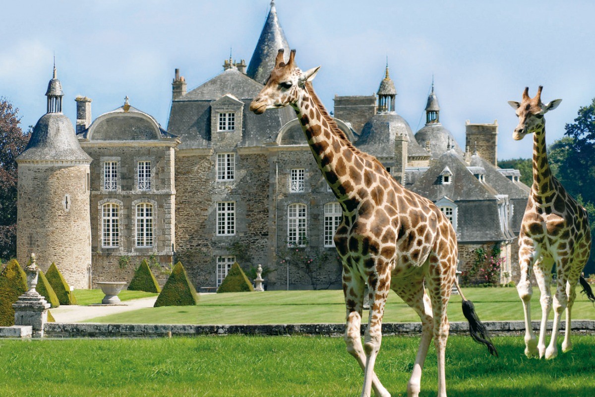 Crédits photo : Zoo et Château de la Bourbansais à Pleugueneuc