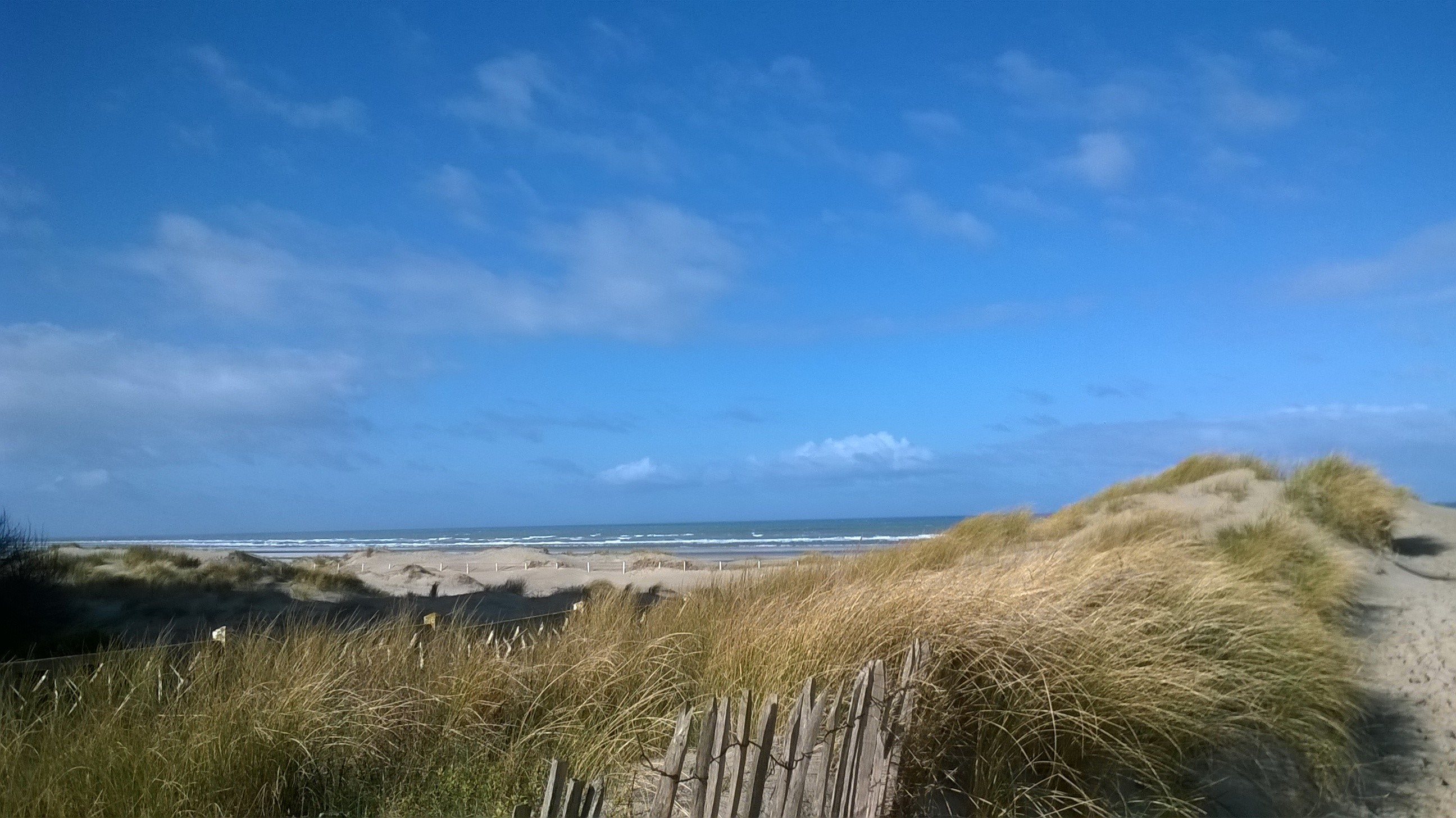 dunes devant immeuble
