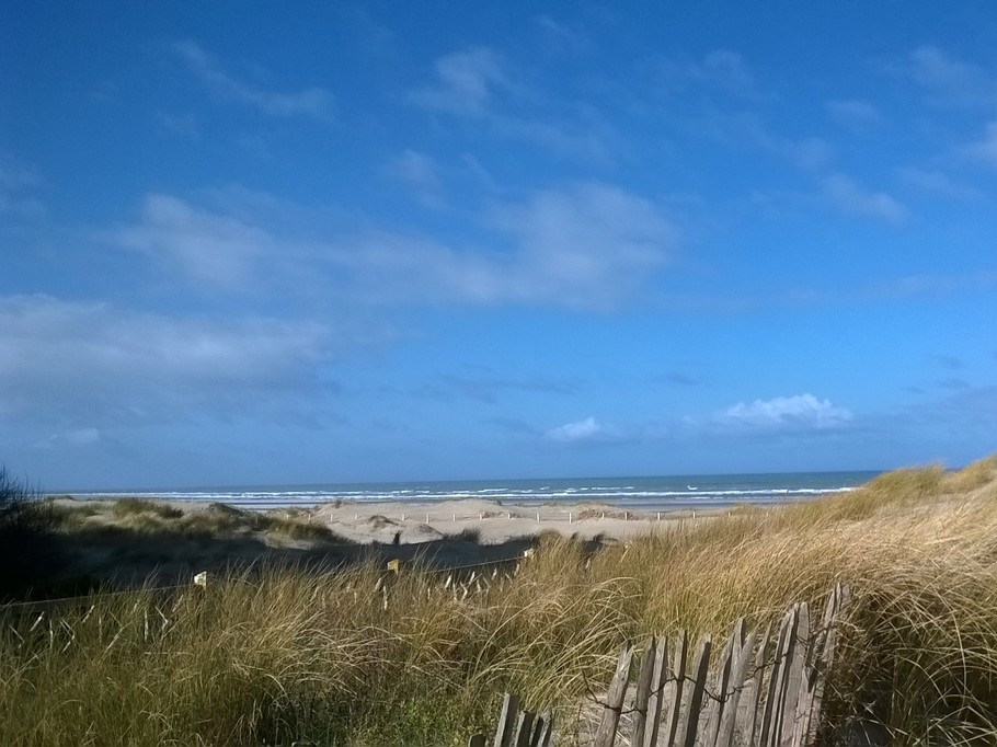 dunes devant immeuble