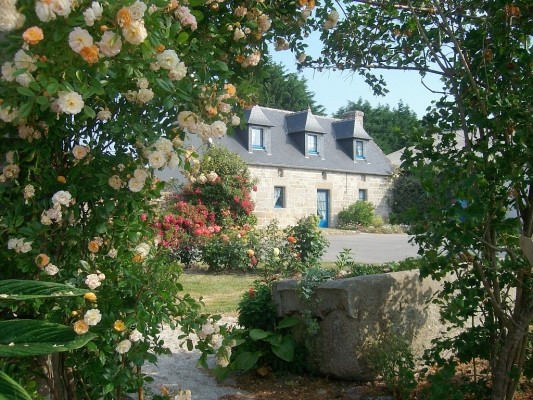 Photo n° 1 of the location