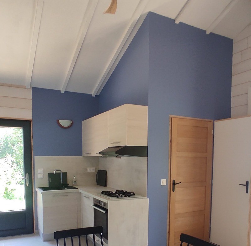 La Cabane 2 la Vigne - Piece de vie