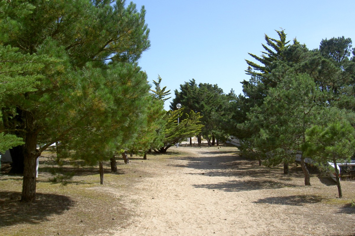 Accès à la plage