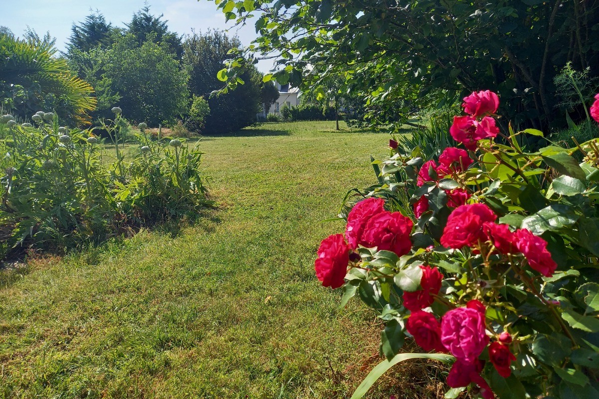 jardin