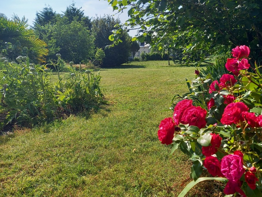 jardin