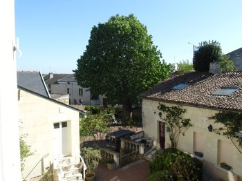 le tilleul