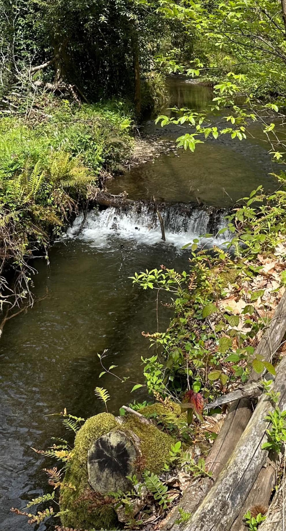 Rivière le long du gite