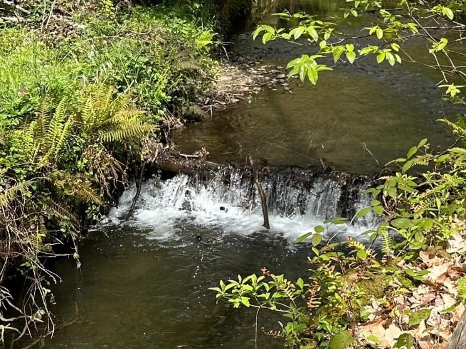 Rivière le long du gite
