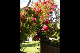 Vue sur les espaces vert