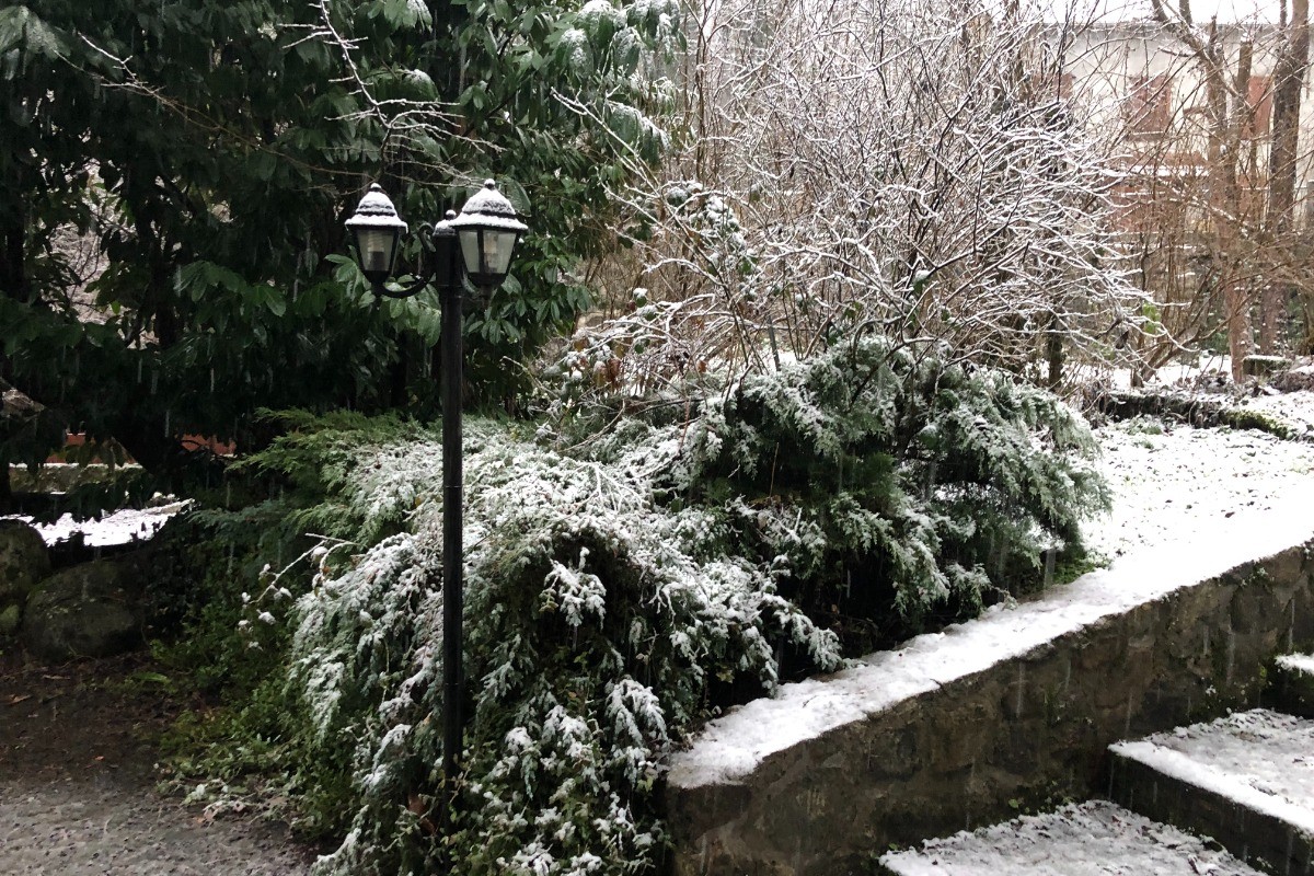 Jardin