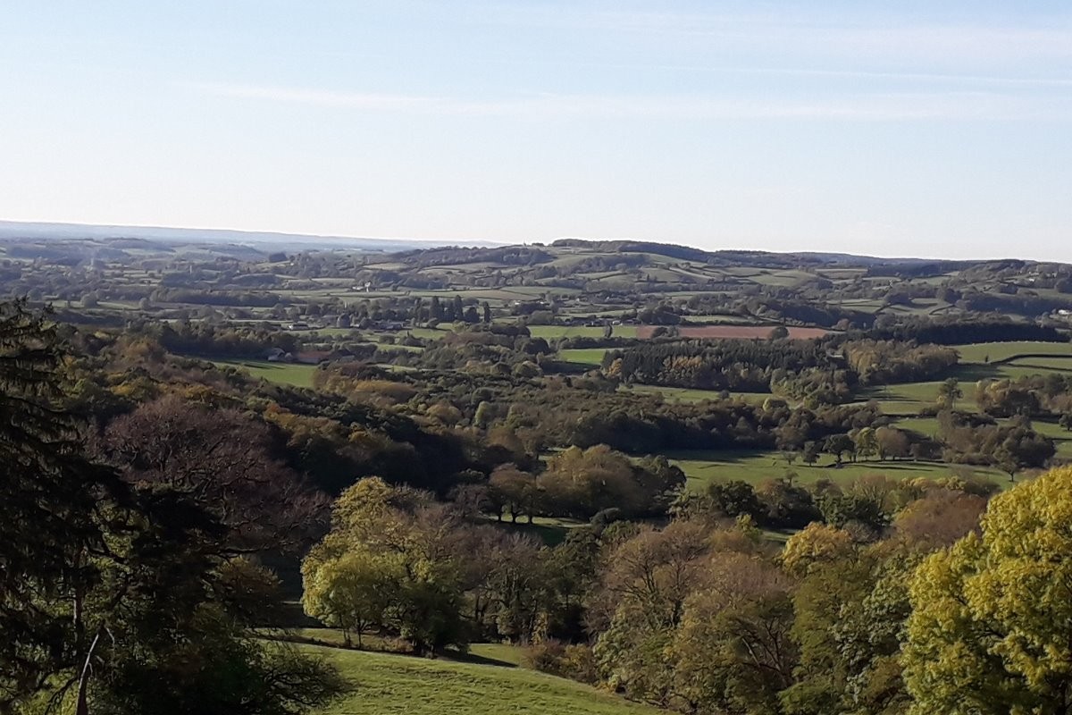 Gîte Morvan - Vue de la terrasse