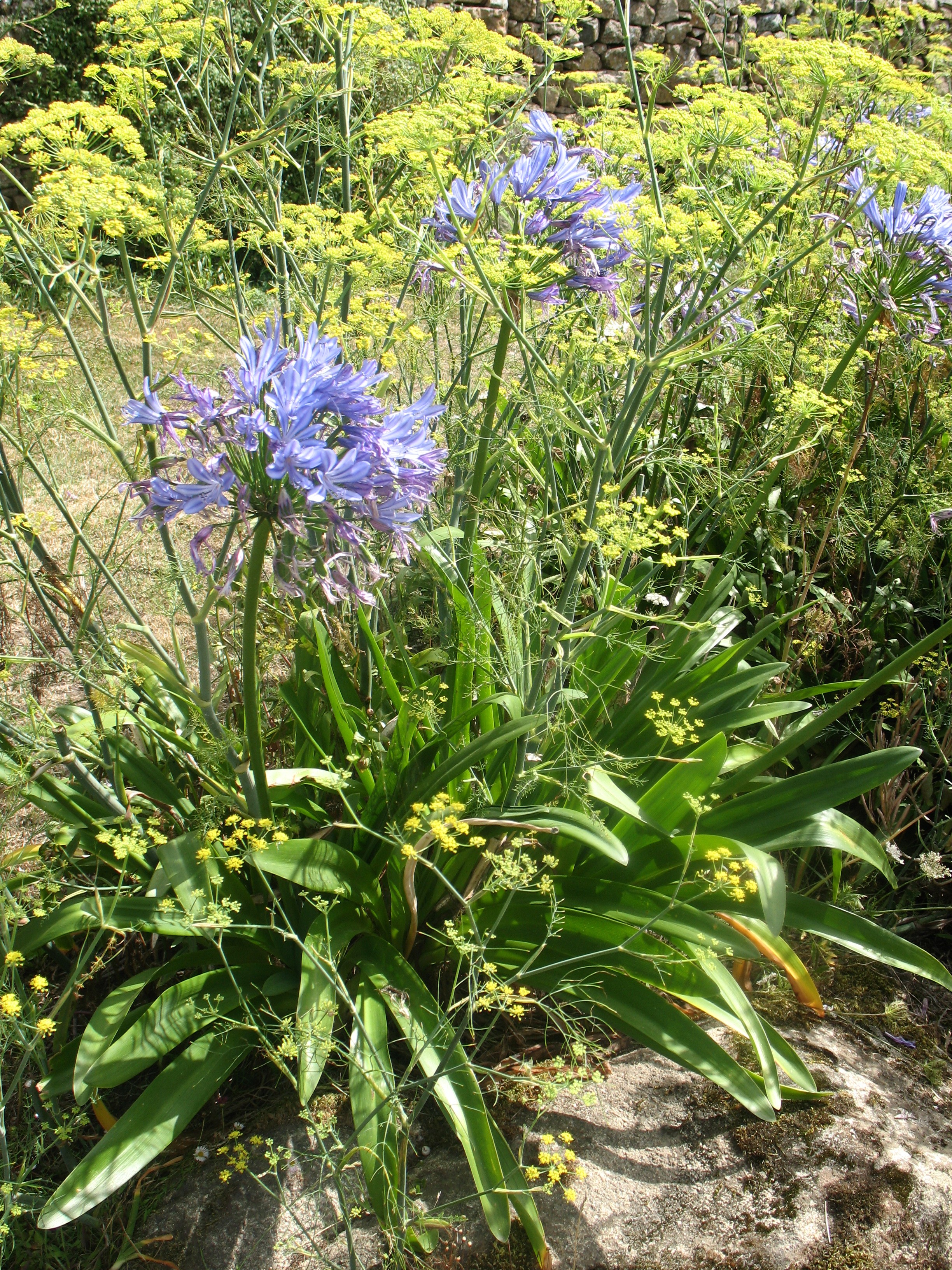 Photo n° 9 of the location