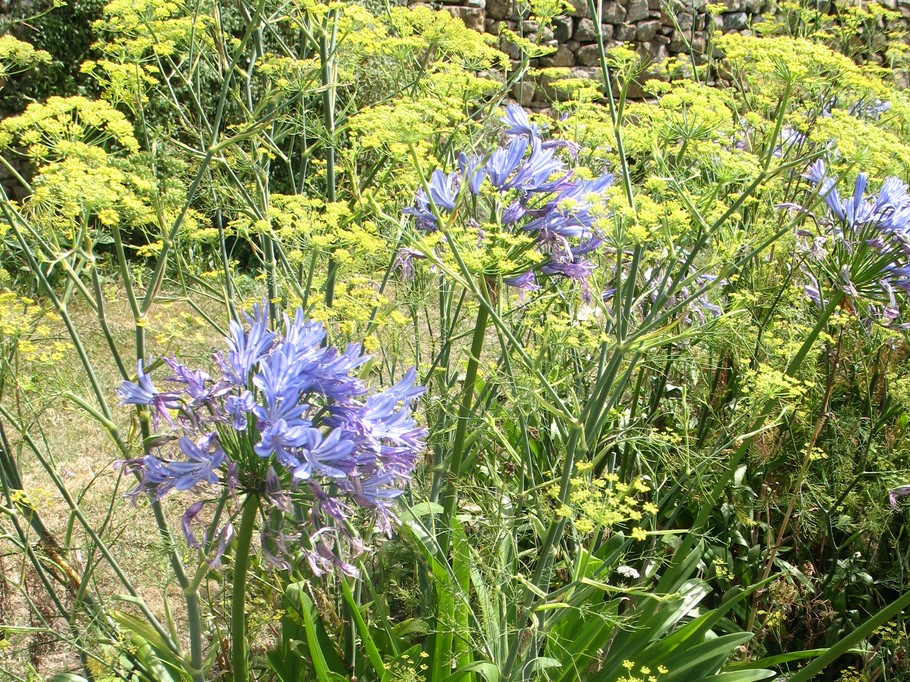 Photo n° 9 of the location