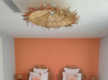 Photo n° 2 de la location