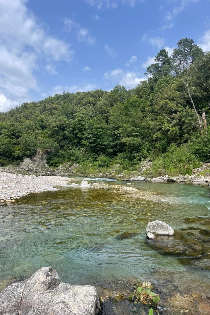 Photo n° 12 of the location