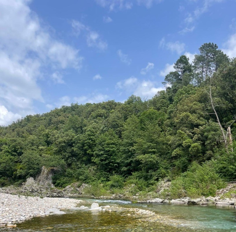 Photo n° 12 of the location