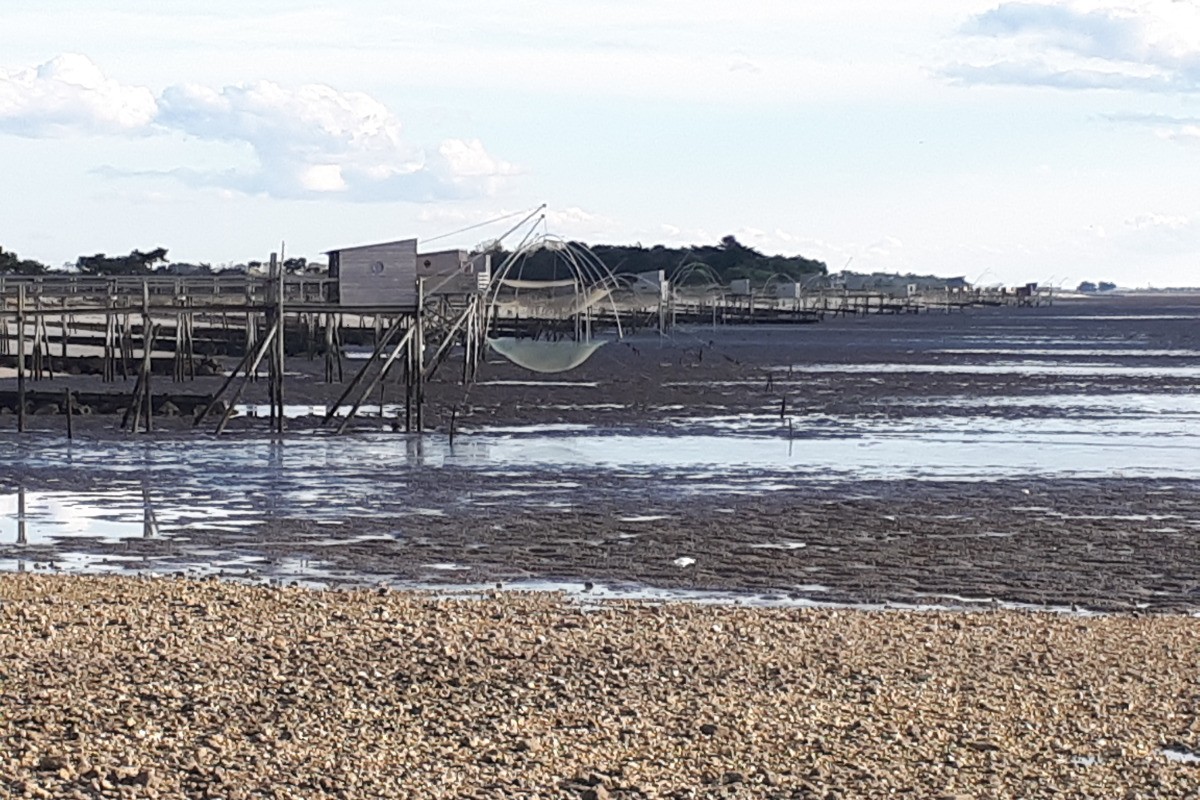Photo n° 16 de la location