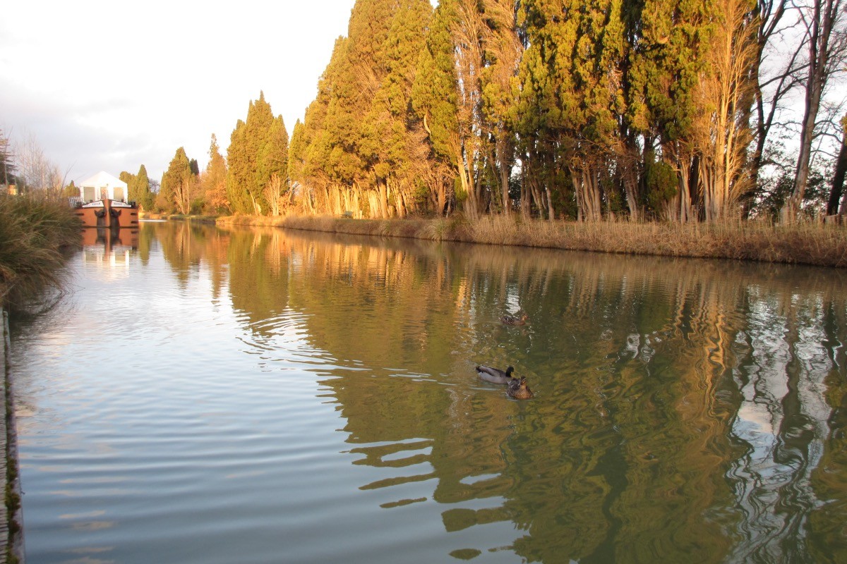 Photo n° 16 de la location