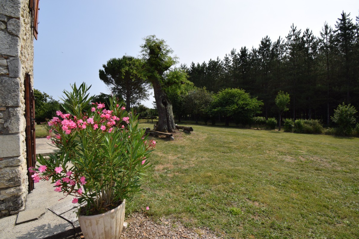 Photo n° 6 de la location
