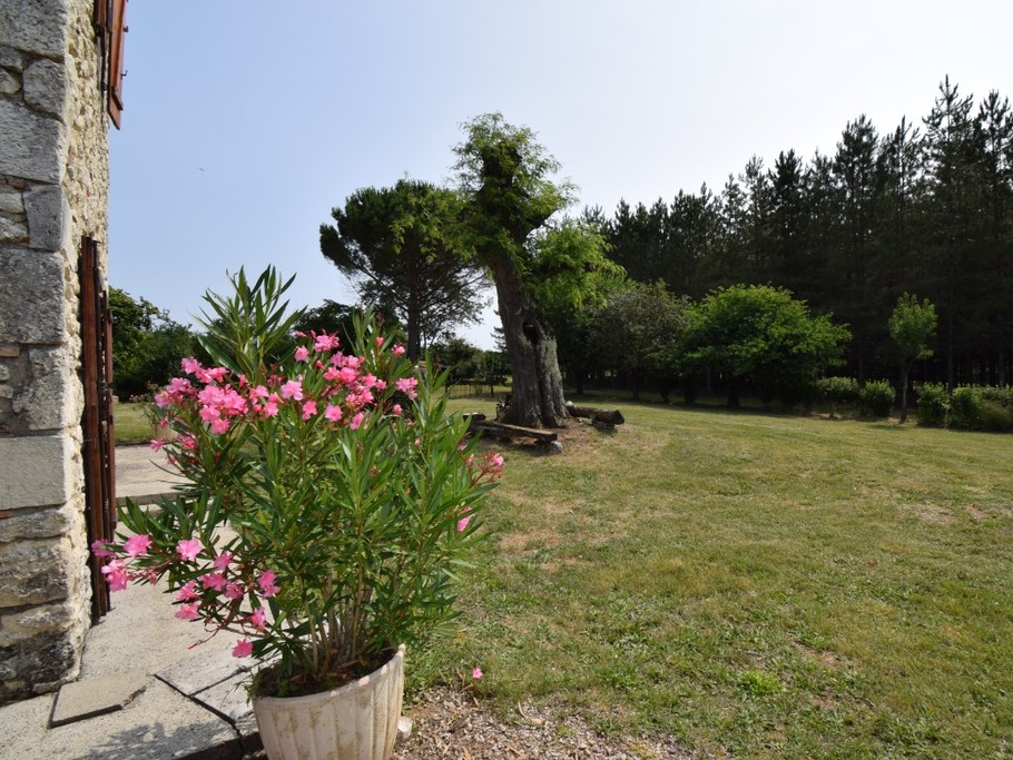 Photo n° 6 de la location