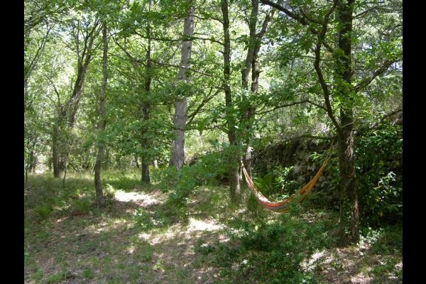 Photo n° 14 de la location