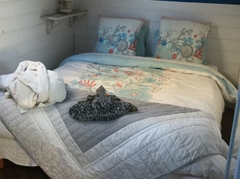 Chambre du Capitaine