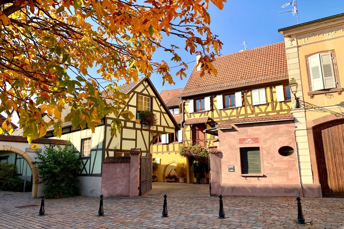 L'été indien à Wettolsheim