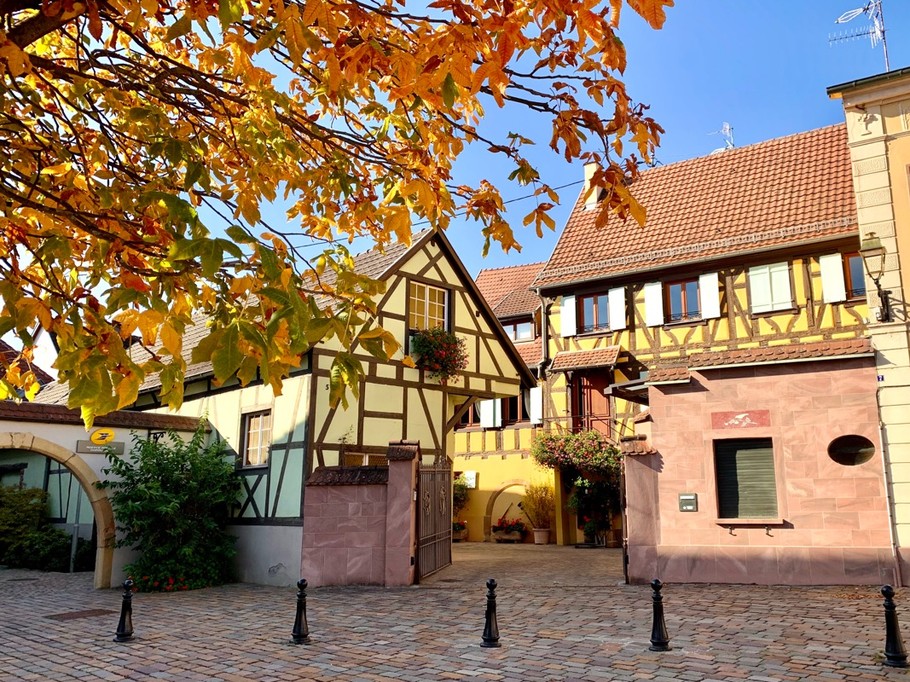L'été indien à Wettolsheim