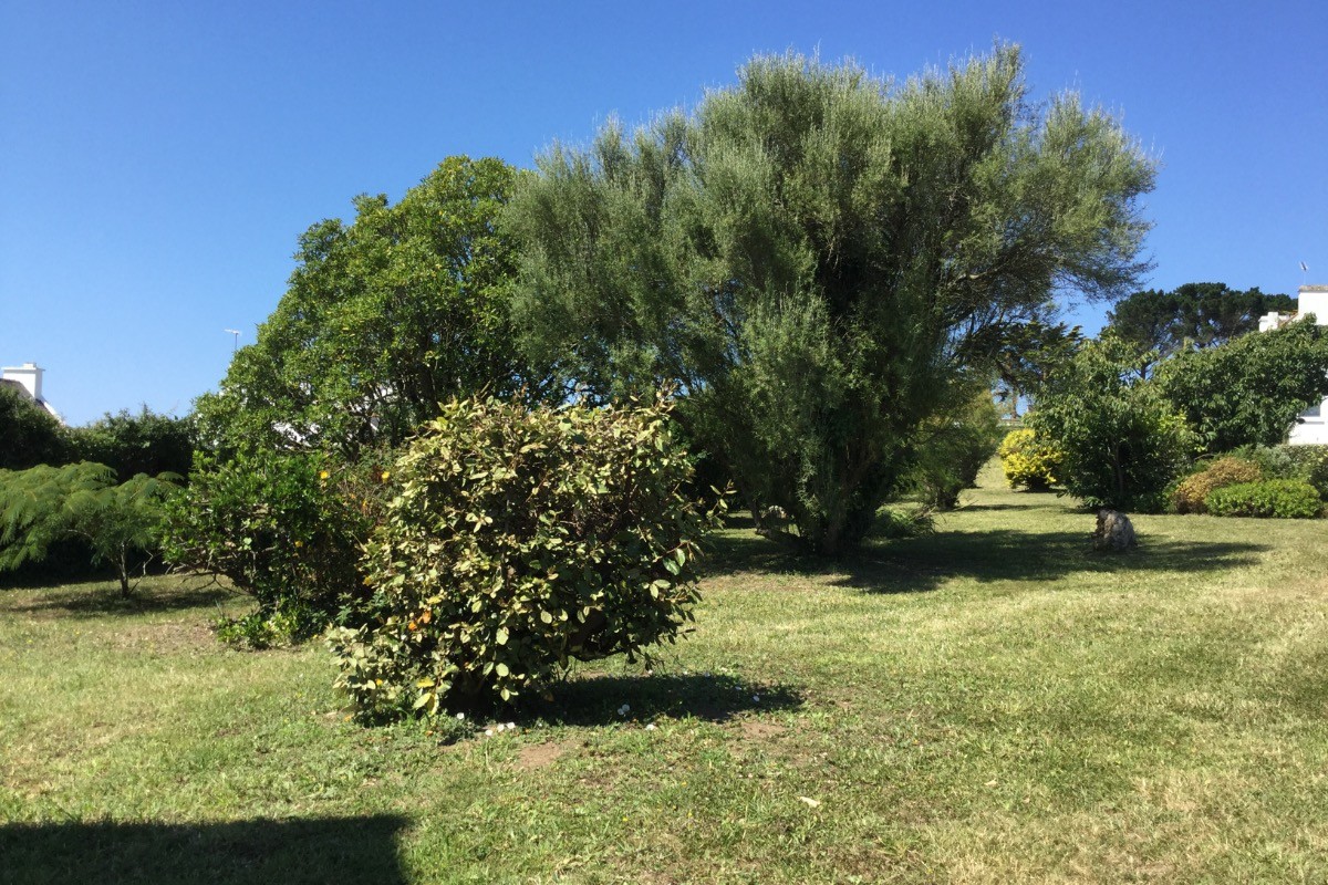 Le jardin