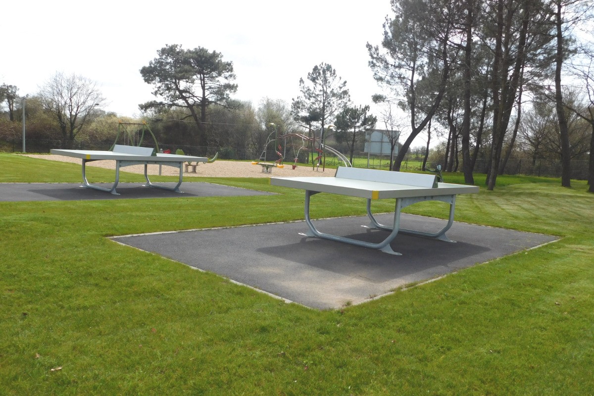 table ping pong