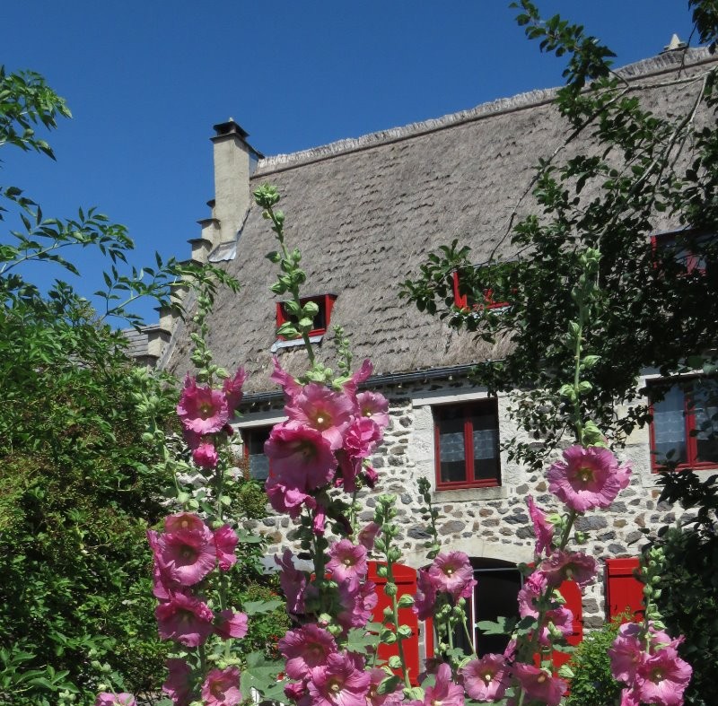 Le parc en été