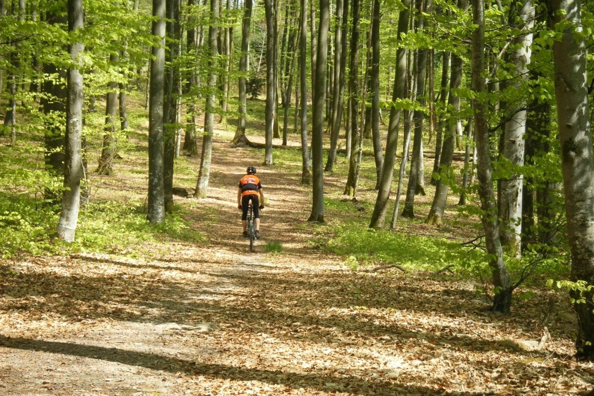 Pistes VTT Xertigny Forêt