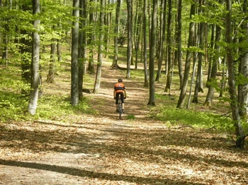 Pistes VTT Xertigny Forêt