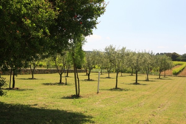 Photo n° 13 de la location