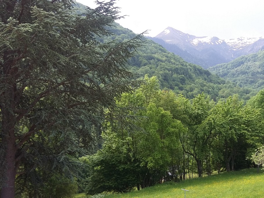 Vue sur le pic de la Calebasse (2200m)