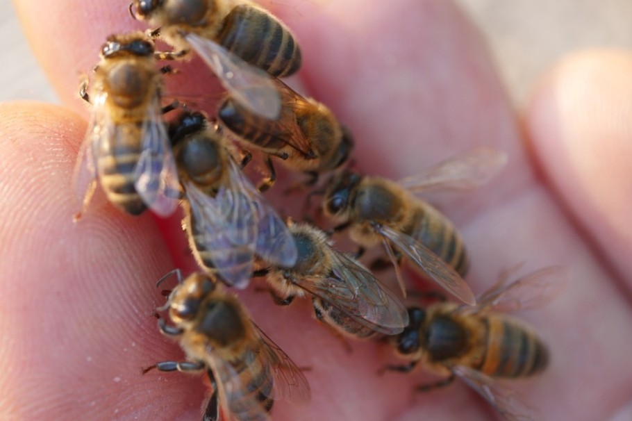 Photo n° 20 de la location