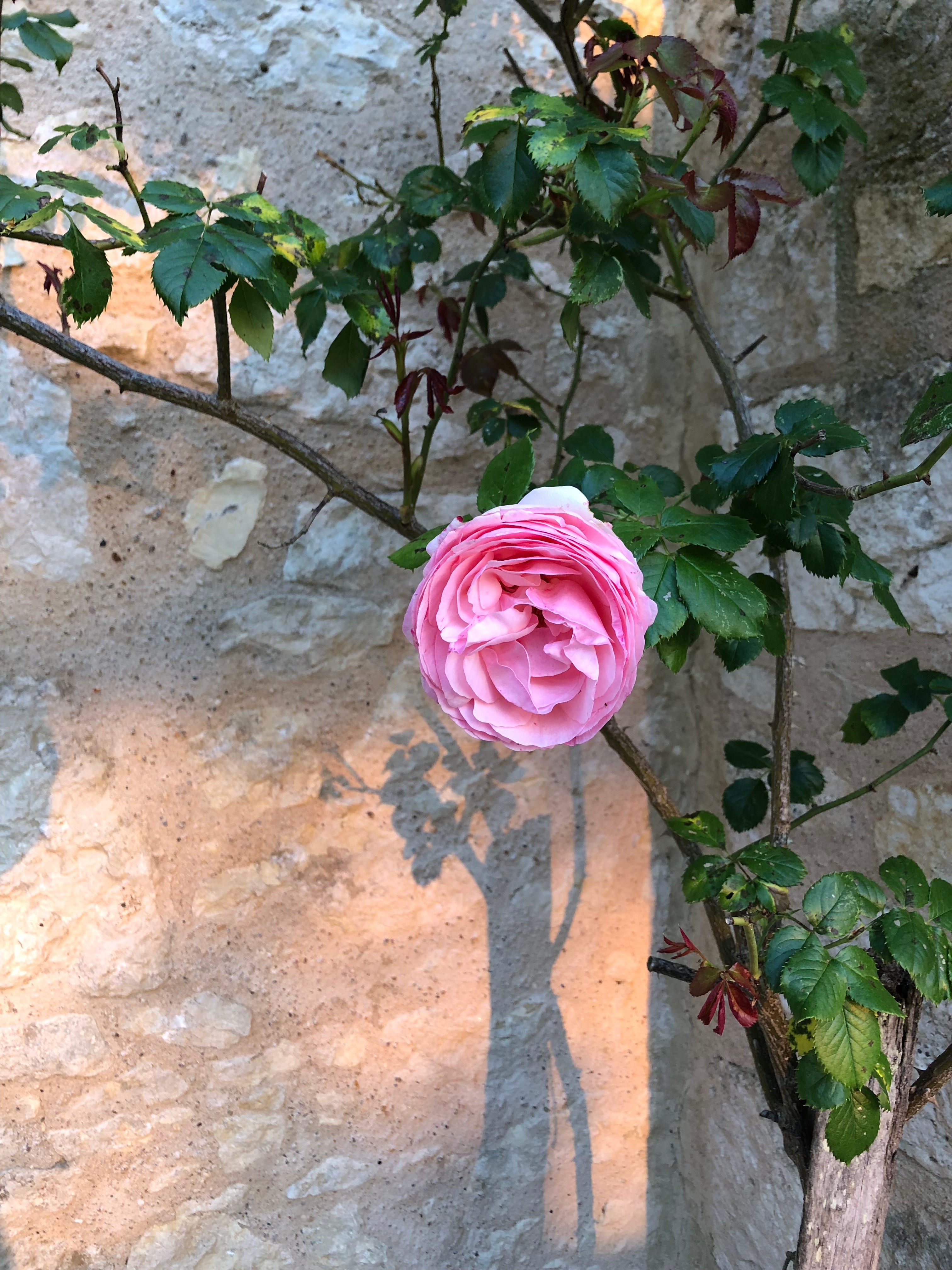 Photo n° 11 of the location