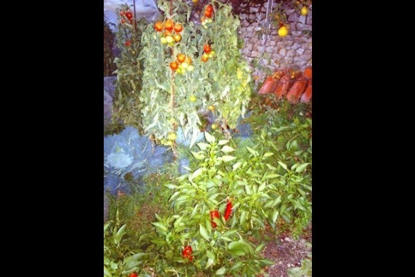 Photo n° 13 de la location