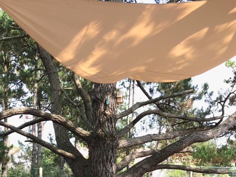 Photo n° 20 of the location