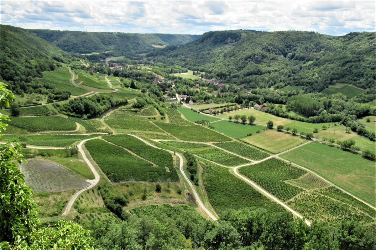 chateau chalon les vignes