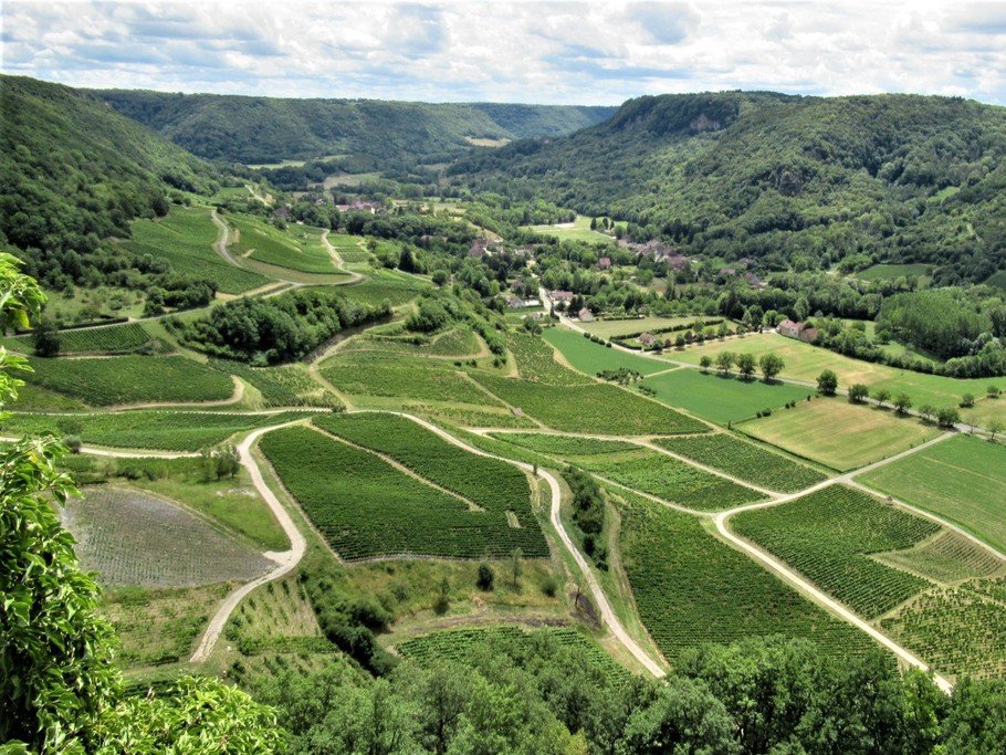 chateau chalon les vignes