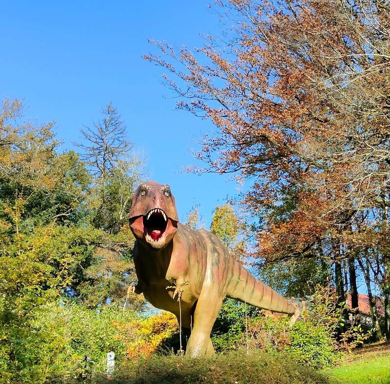 Parc du dino-zoo.