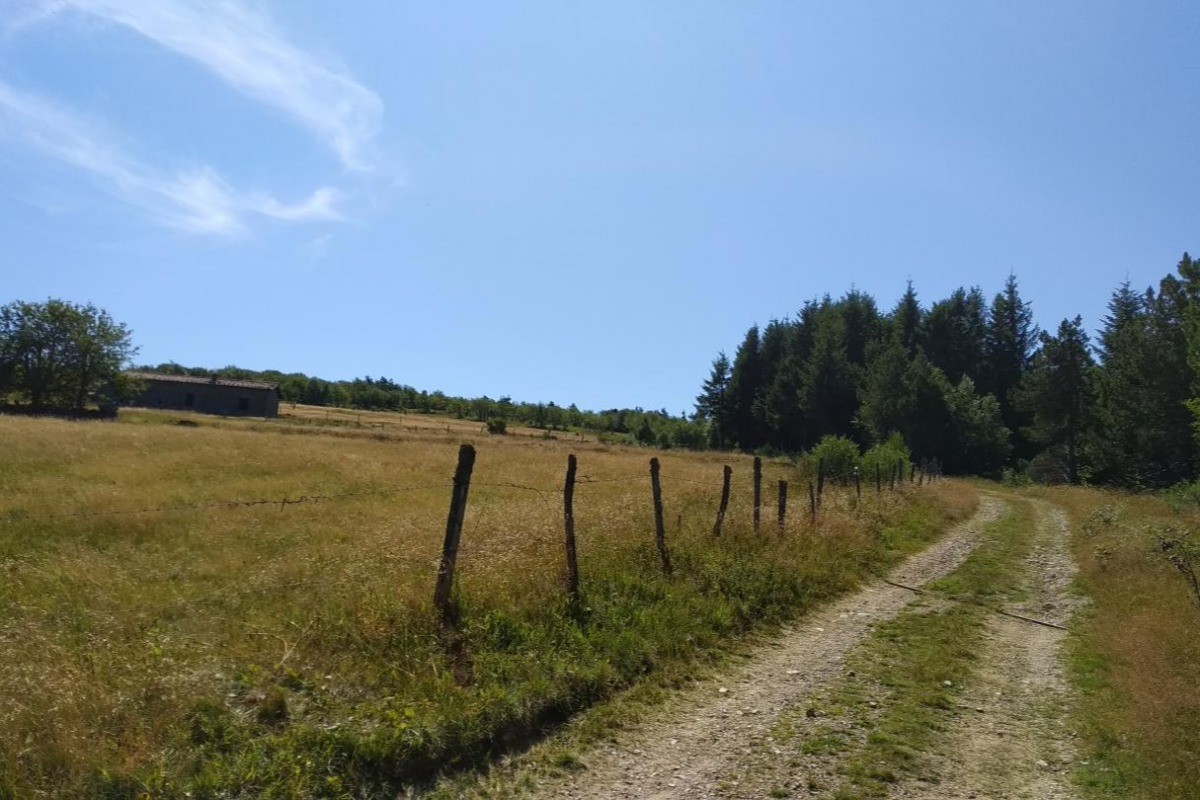 Photo n° 13 of the location