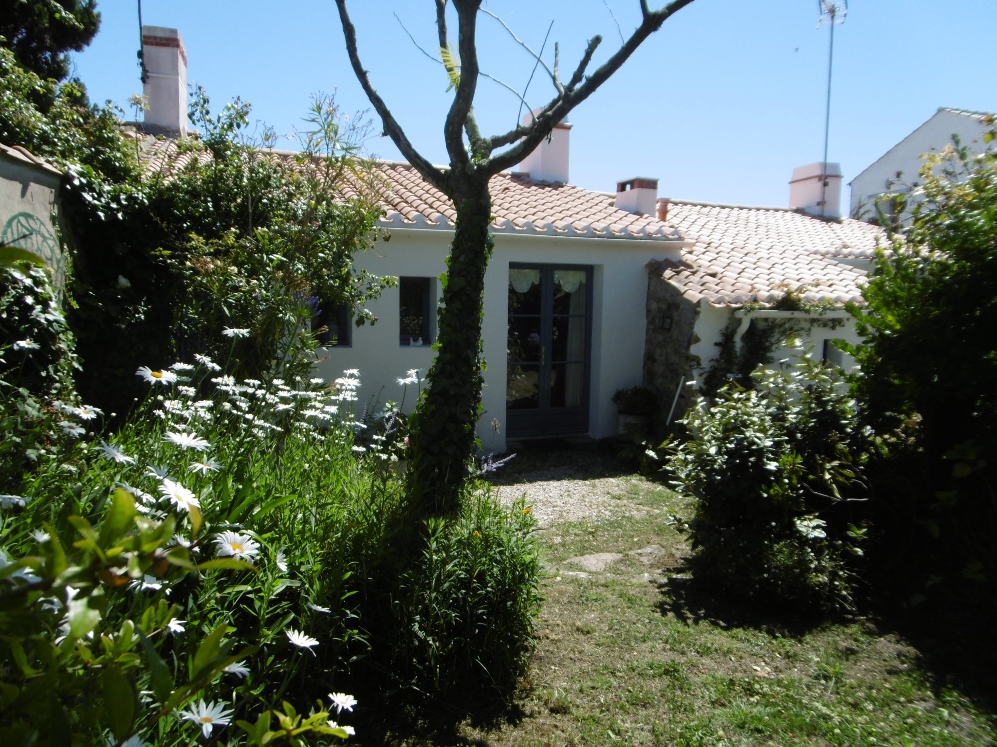 Jardin