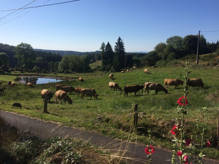 Photo n° 18 de la location