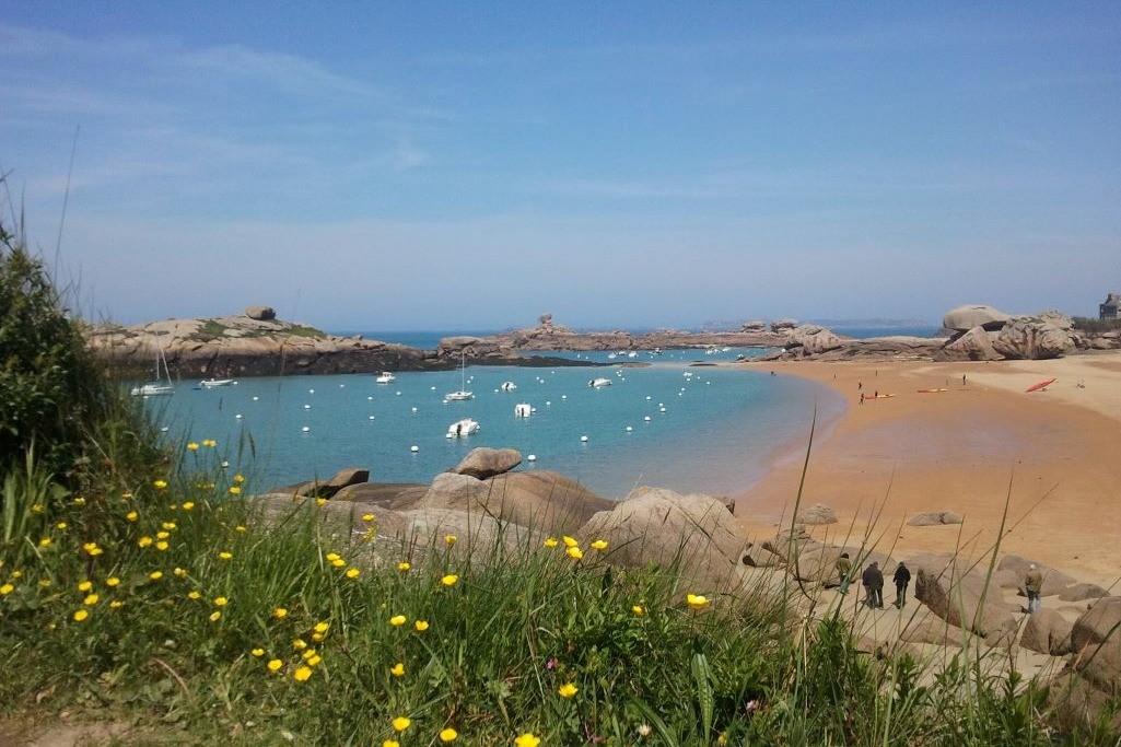 plage de sable rouge  : la cote sauvage