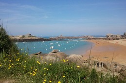 plage de sable rouge : la cote sauvage